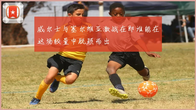 威尔士与塞尔维亚激战在即谁能在这场较量中脱颖而出